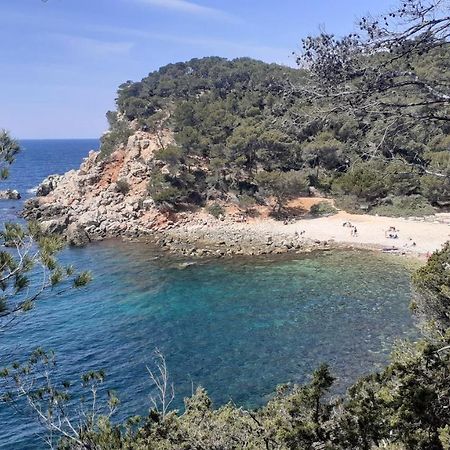 Bandol Maison De Campagne Екстериор снимка